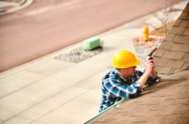 Best Roof Moss and Algae Removal  in Oakes, ND