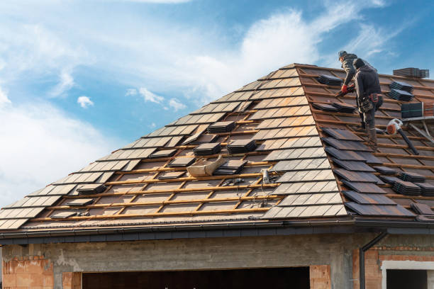 Best Skylight Installation and Repair  in Oakes, ND